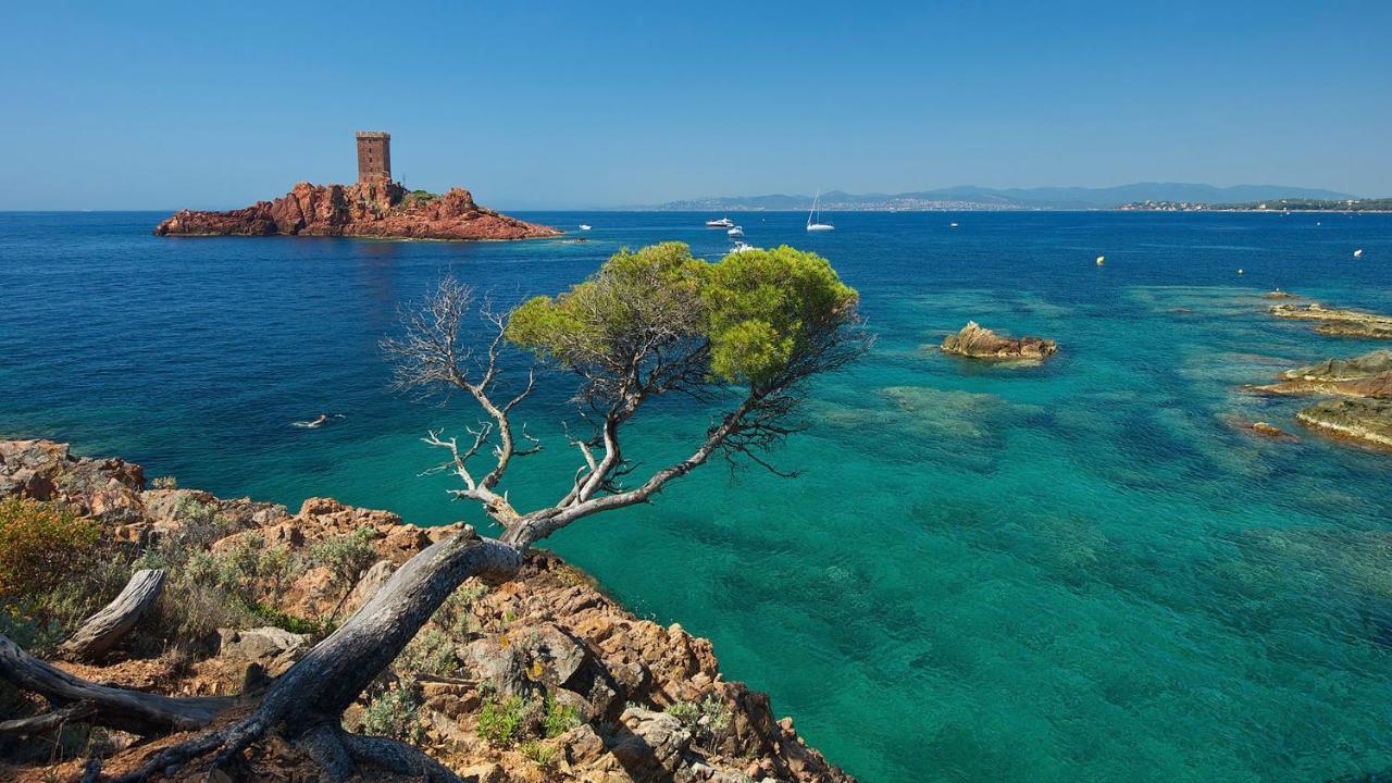 Appartement Zen A Frejus Avec Jardin, Piscine, Tennis, Proche Mer エクステリア 写真